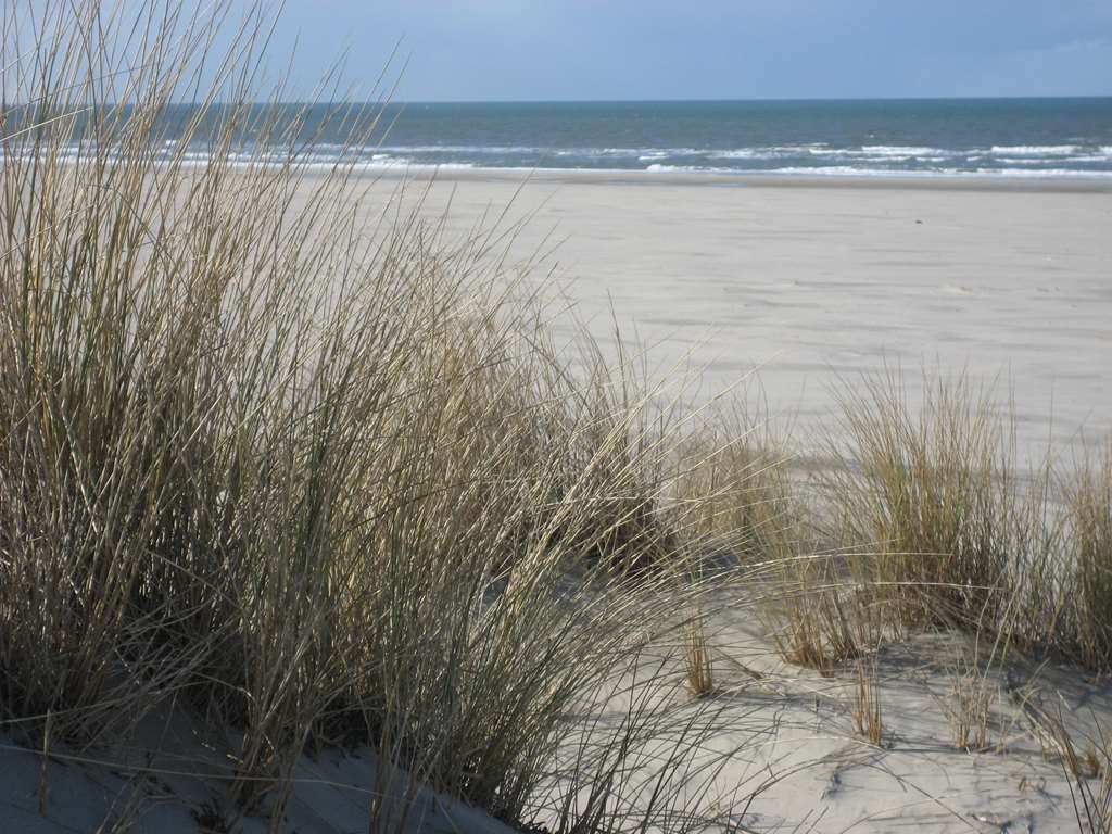 Ringhotel Residenz Wittmund Εξωτερικό φωτογραφία
